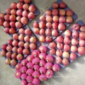 Top Qualität von frischem rotem Qinguan Apfel